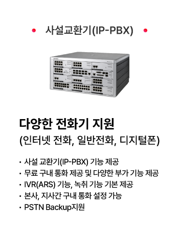 ������ͳ���ȭ biz ���� ��ǰ_�缳��ȯ��(IP_PBX)